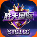胜天国际